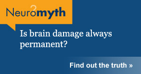 Neuromyth: Brain Damage is always permanent.